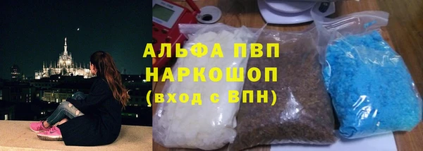 ECSTASY Алзамай